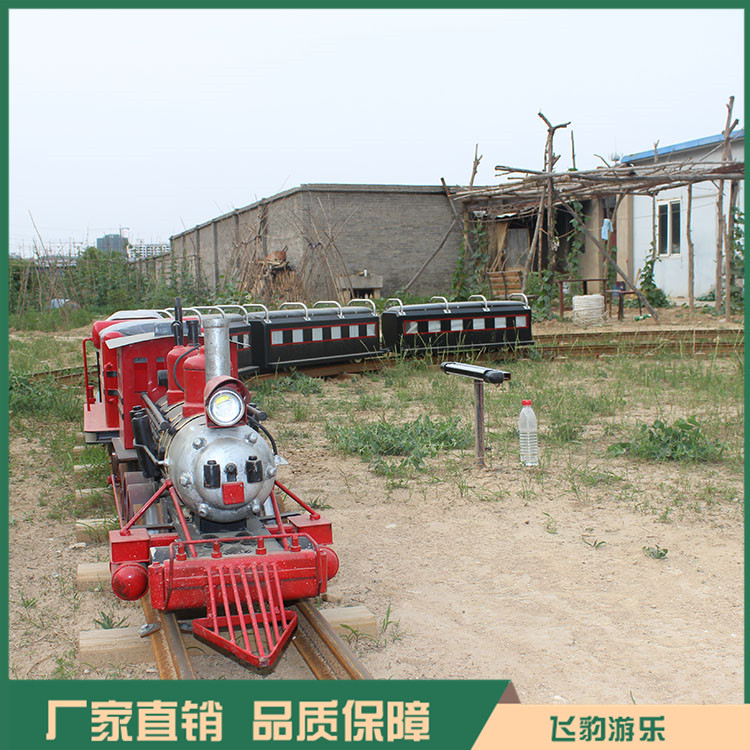 蒸汽小火车 微型小火车 仿真蒸汽小火车 品质保证 全国发货