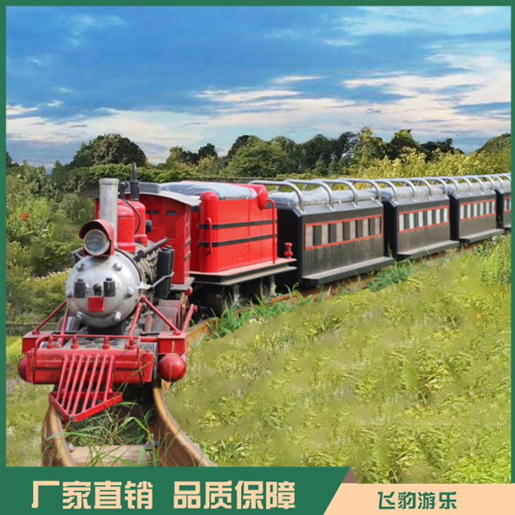 儿童游乐设备蒸汽火车 电动观光蒸汽小火车 飞豹游乐 品质厂家