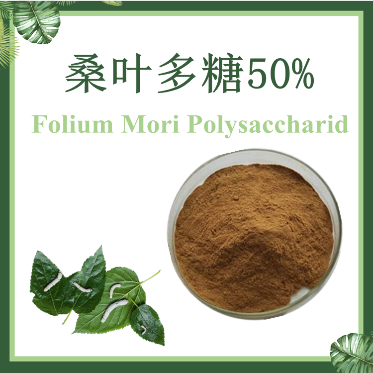 【慈缘生物】桑叶提取物 桑叶多糖10%-50%