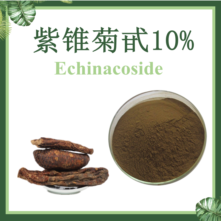 肉苁蓉提取物 紫锥菊甙 松果菊苷10% HPLC 现货供应