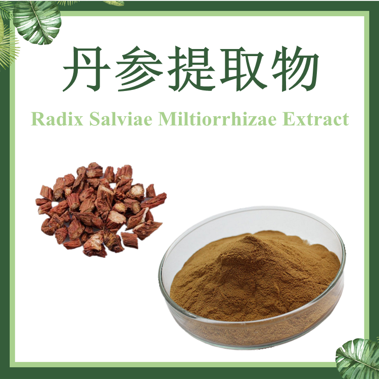 现货供应：丹参提取物 10:1 植物提取物