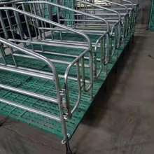 批发零售母猪定位栏加厚母猪限位栏猪用落地式母猪限位栏
