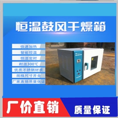 电热鼓风干燥箱TX101系列