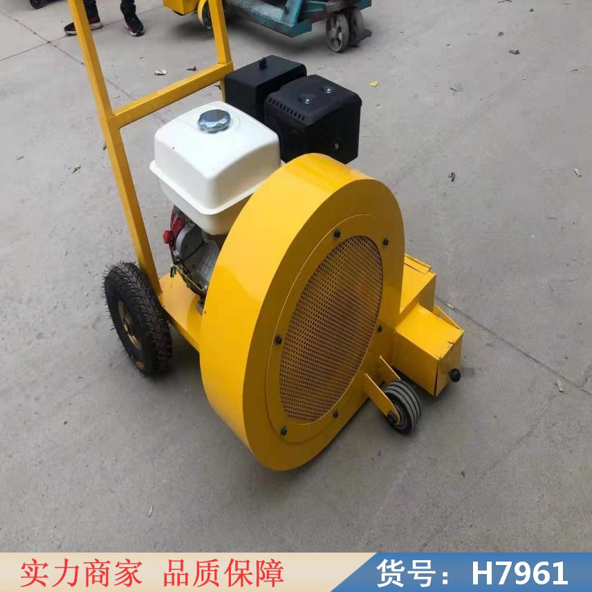 慧采汽油马路吹风机 公路养护吹风机 路面清扫吹风机货号H7961
