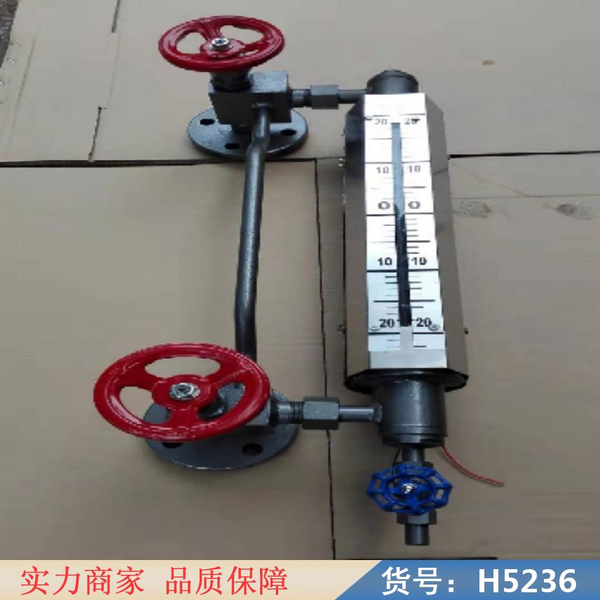 慧采防腐式液位计 干簧管液位计 化工液位计货号H5236