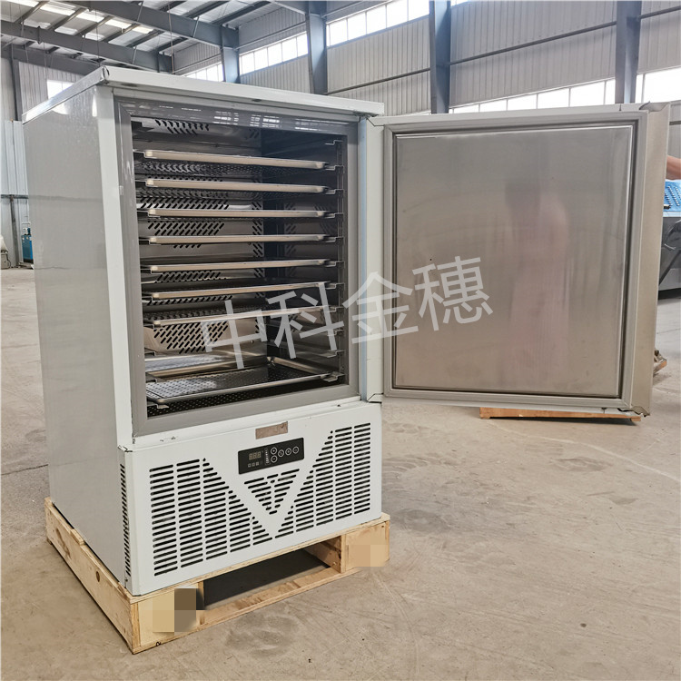 中科金穗 200L速冻柜零下40度低温冷冻冰柜急冻冷柜海鲜水饺肉丸冰淇淋