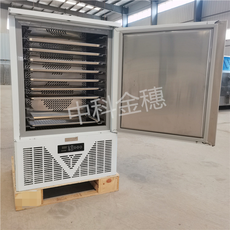速冻柜-40度饺子冰激凌海参海鲜小型低温急速冷冻柜 厂家供应
