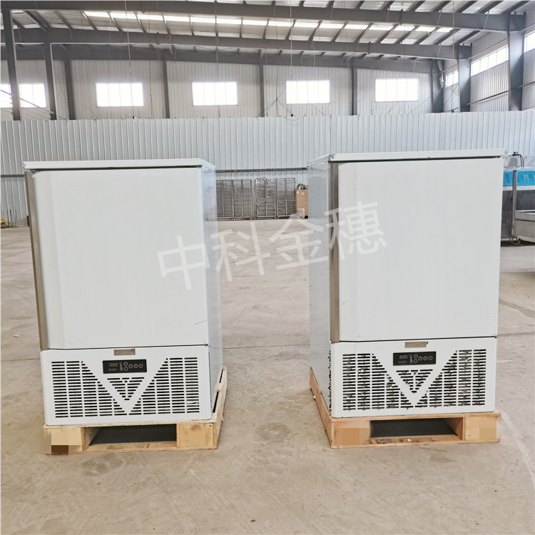 中科金穗 低温速冻柜-40度急速冷冻柜商用海鲜水饺雪糕慕斯汤圆极冻柜