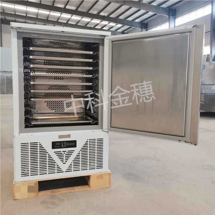 中科金穗 速冻柜商用 零下40度低温冷冻冰柜 急冻冷柜海鲜水饺肉丸冰淇淋