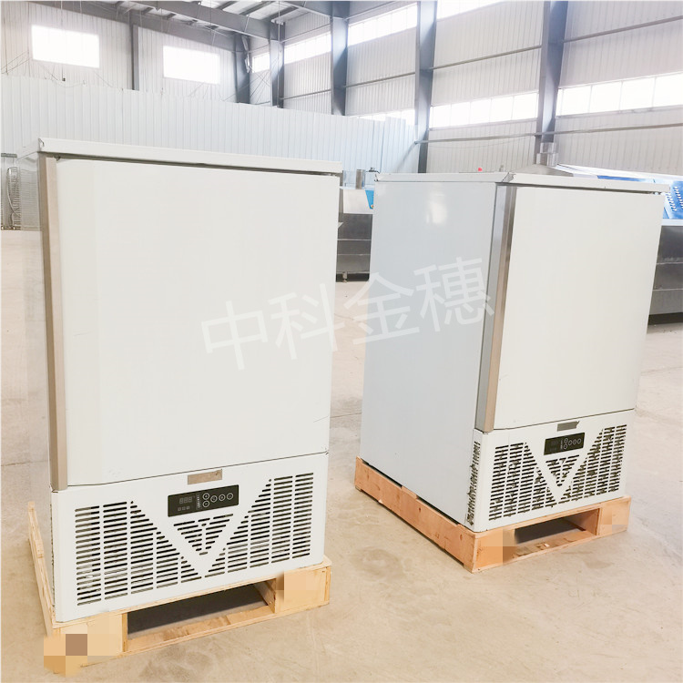 -40度水饺冰激凌海参速冻柜 海鲜小型低温急速冷冻柜 厂家供应