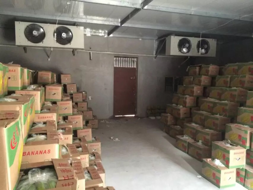 张掖冷库厂家   新冷源专业冷冻冷库安装公司   厂家送货上门