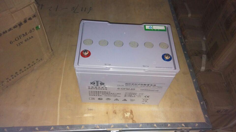 双登蓄电池6-GFM-65 12V65Ah 直流屏UPS/EPS通信电源蓄电池