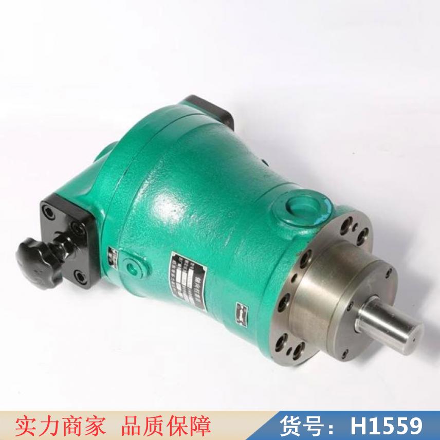 中德式轴向柱塞泵 高压泵柱塞泵 自动轴向柱塞泵货号H1559