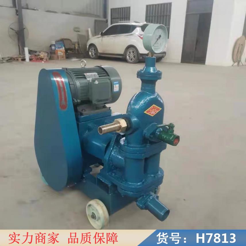 中德水固化双组份注浆机 环氧树脂注浆机 高压旋喷注浆机货号H7813