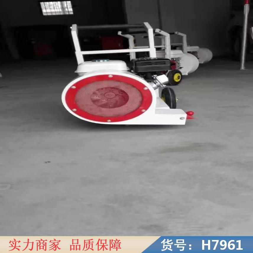 中德路面养护吹风机 工程用的吹风机 工业吹吸风机货号H7961