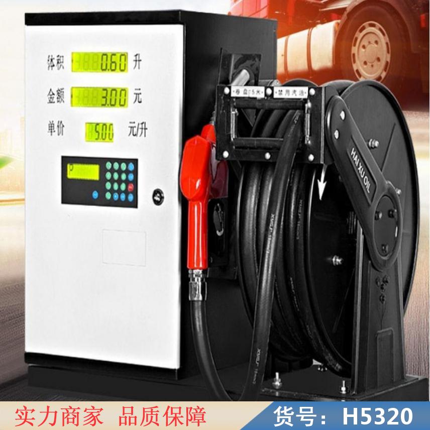 智众小型柴油加油机220 手提式柴油加油机 柴油双枪加油机货号H5320