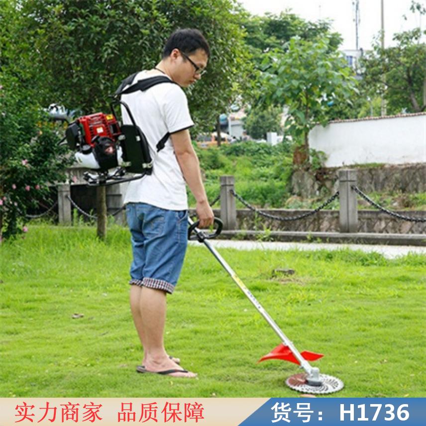 智众二冲程背负式割草机 四冲程割草机 四冲程割灌机货号H1736