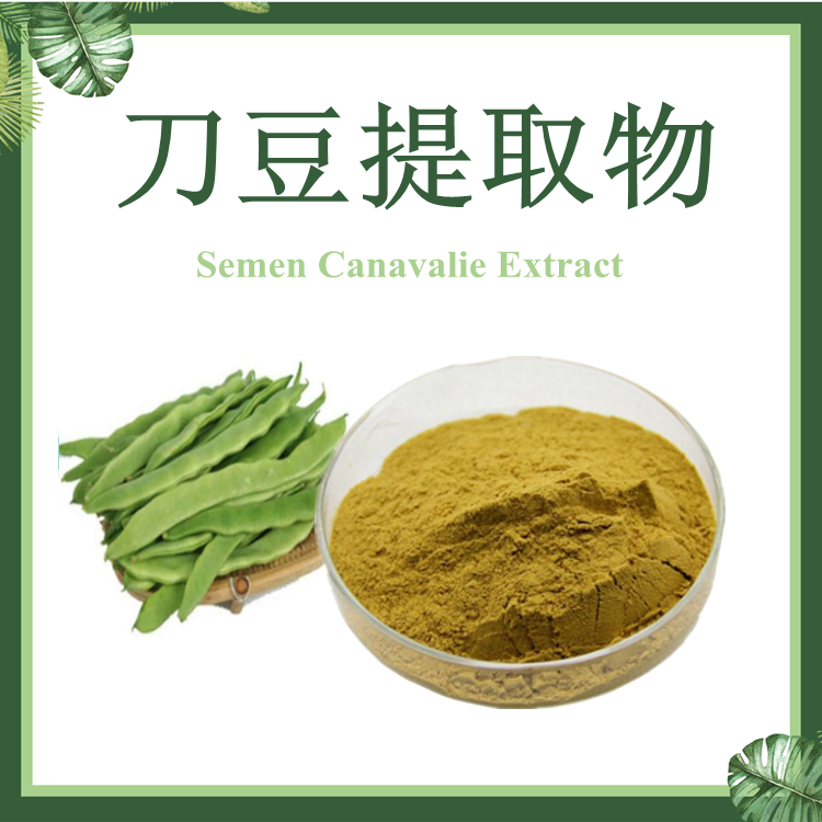 【慈缘生物】刀豆角提取物 10:1 刀豆提取物