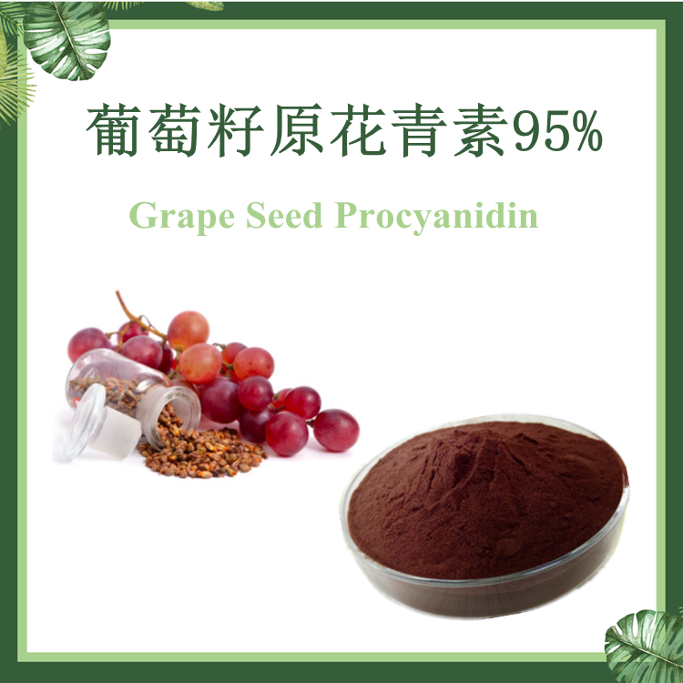 【慈缘生物】葡萄籽提取物 原花青素95% OPC