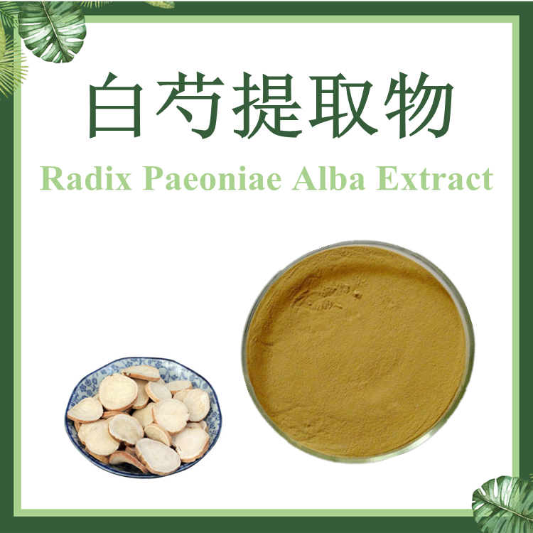 白芍药提取物 10:1 白芍提取物 芍药提取物