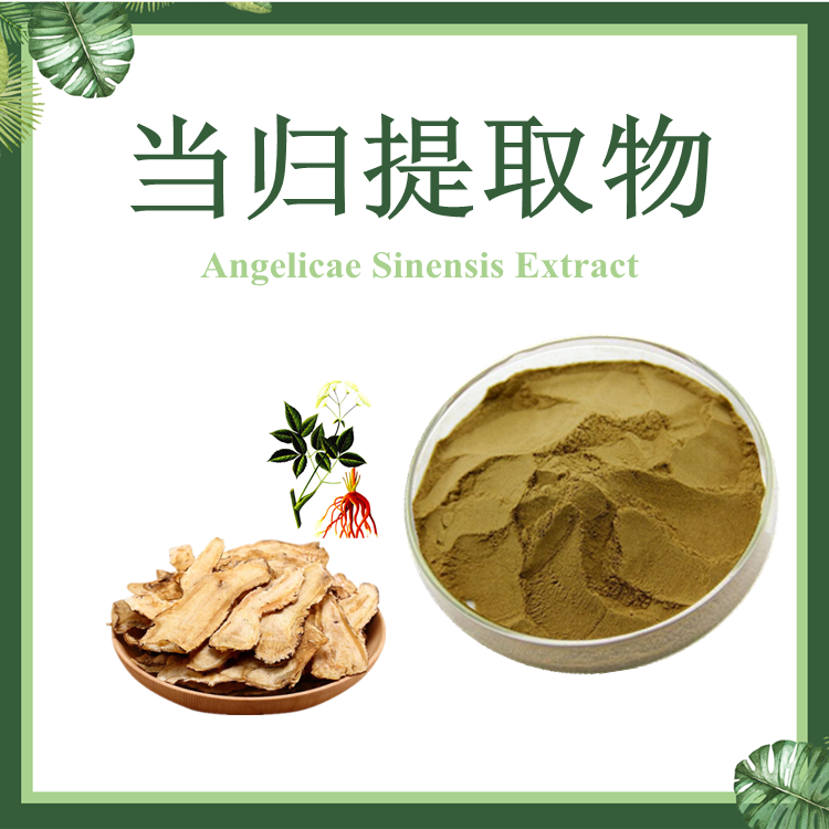 【慈缘生物】当归提取物 10:1 云归提取物 现货供应