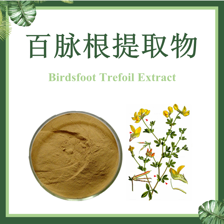 百脉根提取物10:1 牛角花提取物 现货供应
