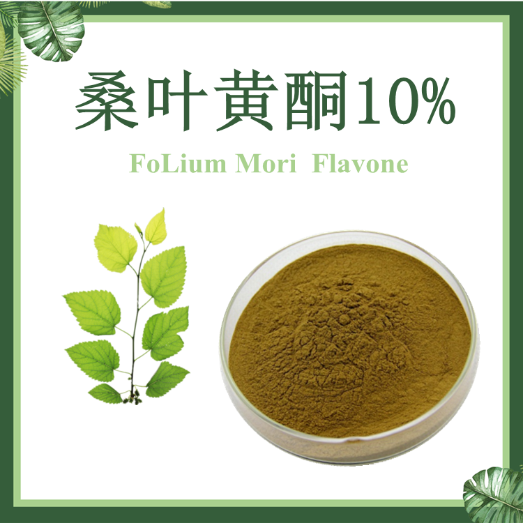 慈缘生物供应 桑叶提取物  桑叶黄酮10%-50%  桑叶总黄酮