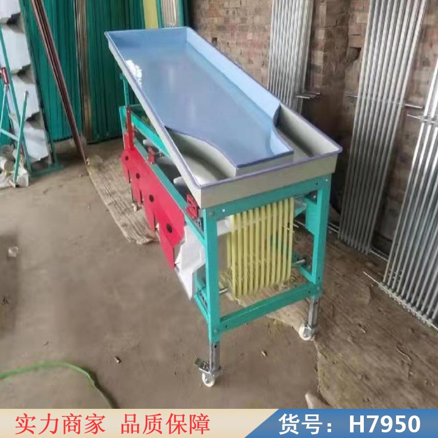 慧采全自动柑橘洗果选果机 绿盟选果机 圣女果选果机货号H7950