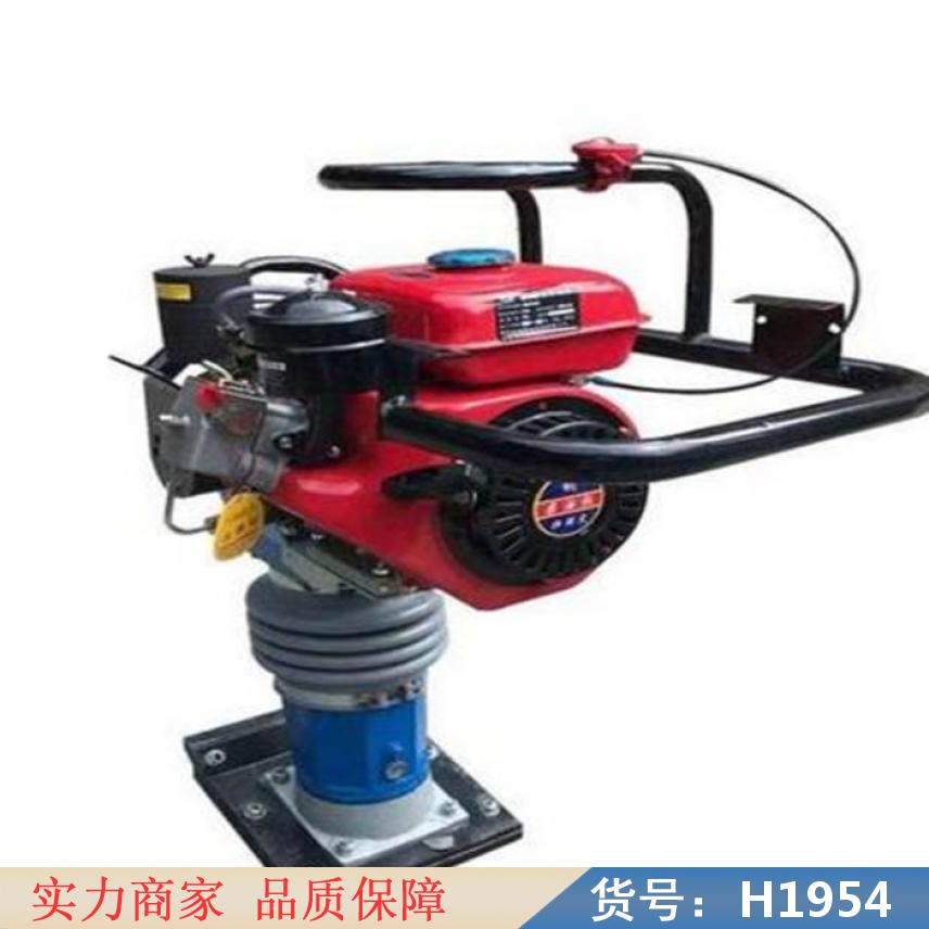 慧采小型打夯机 电动蛙式打夯机 HCR90汽油立式打夯机货号H1954