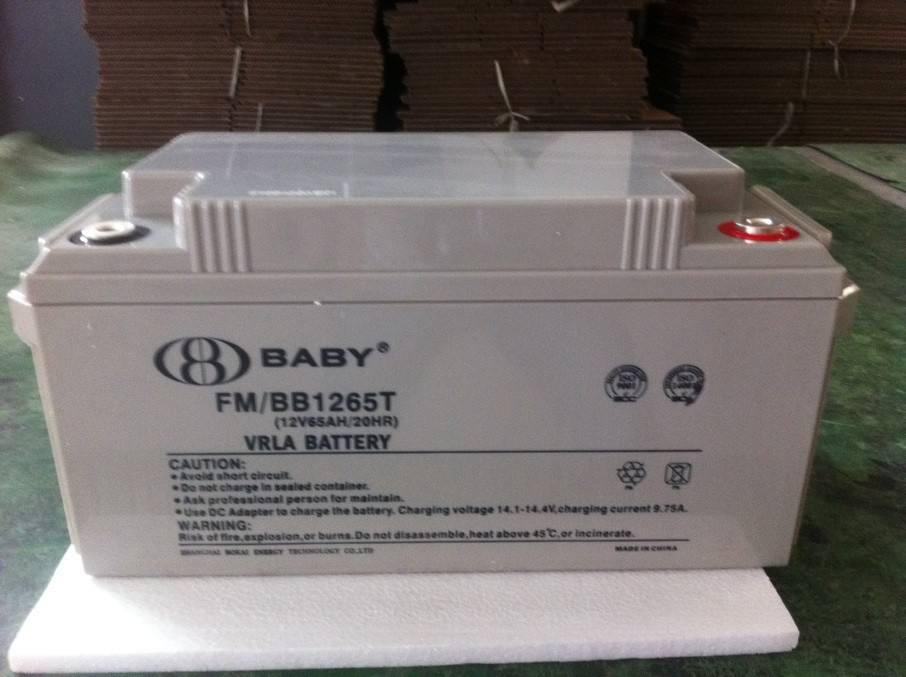 鸿贝蓄电池FM/BB1265T 12V65Ah 基站 船舶 ups机房 直流屏 电厂用