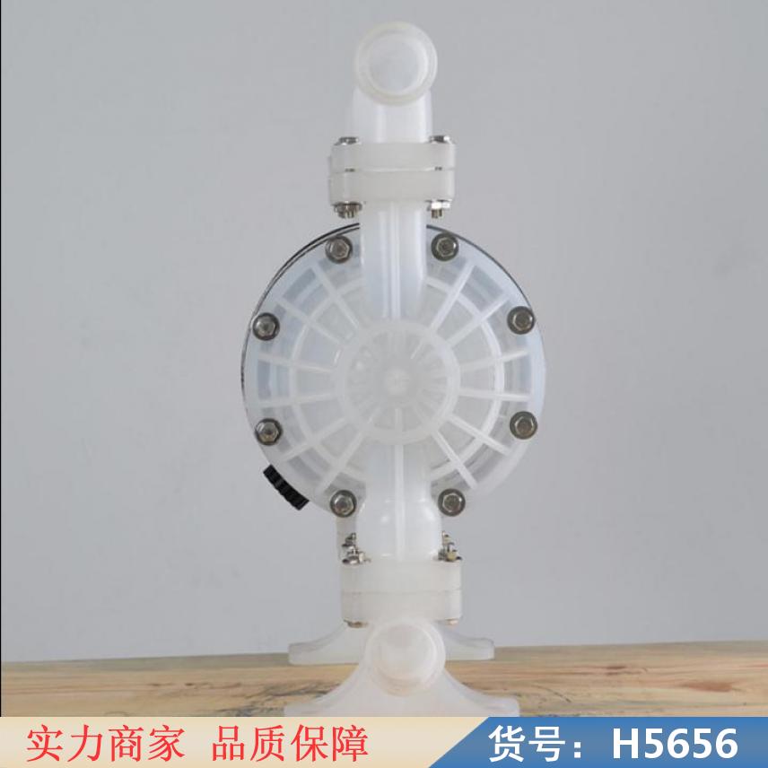 智众塑料气动隔膜泵 工程塑料气动隔膜泵 污泥隔膜泵货号H5656