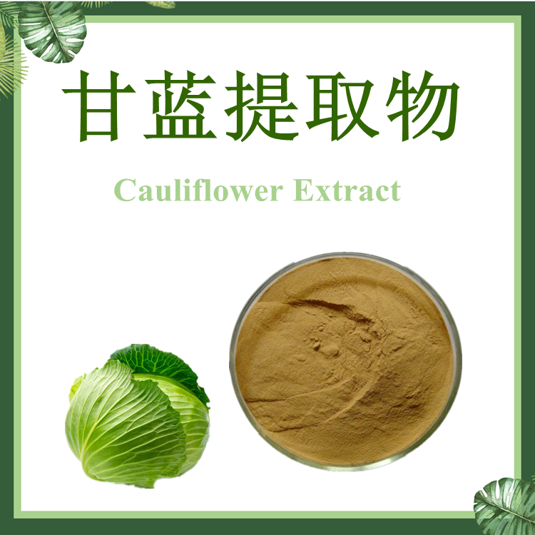 甘蓝提取物 10:1 莲花白提取物 卷心菜提取物