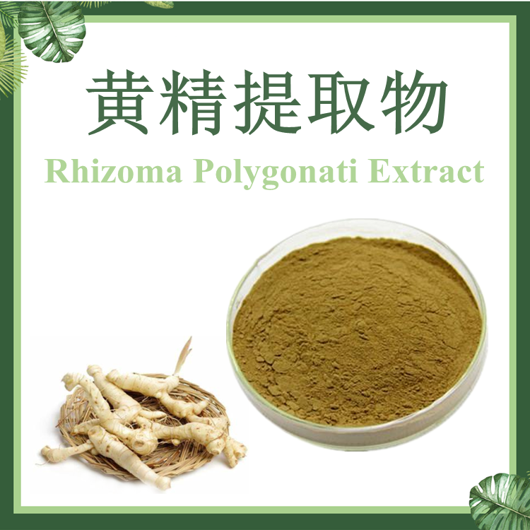 现货供应：黄精提取物10:1 老虎姜提取物