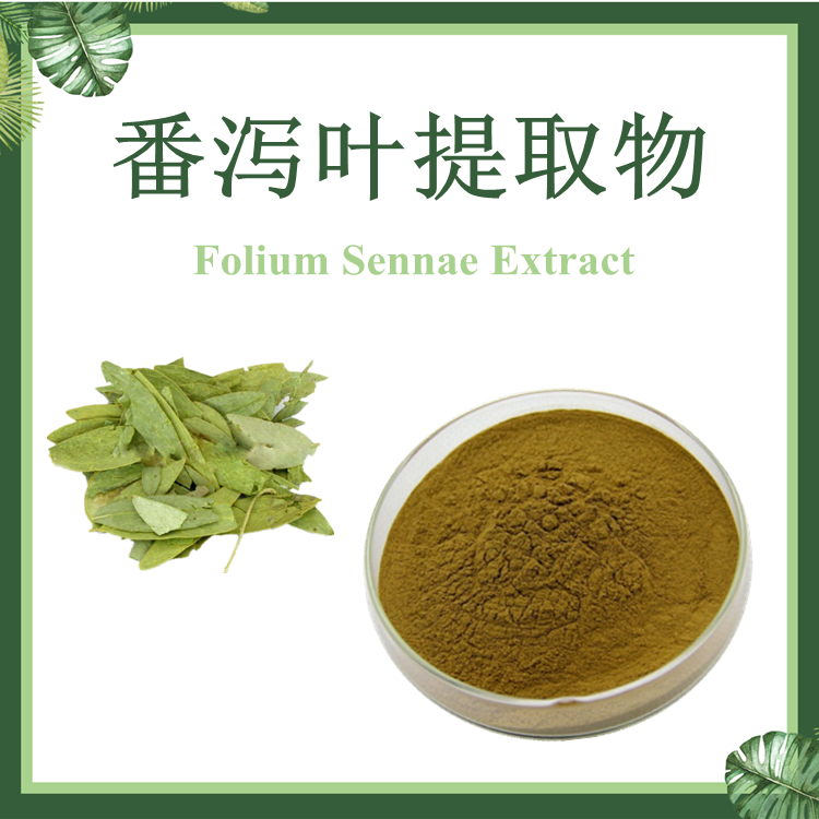 番泻叶提取物 10:1 泻叶提取物  现货供应