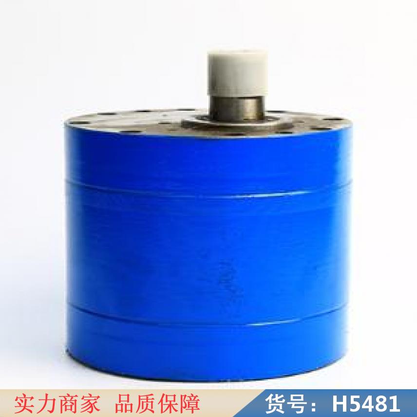 慧采汽车齿轮泵 外啮合齿轮泵 机油齿轮泵货号H5481