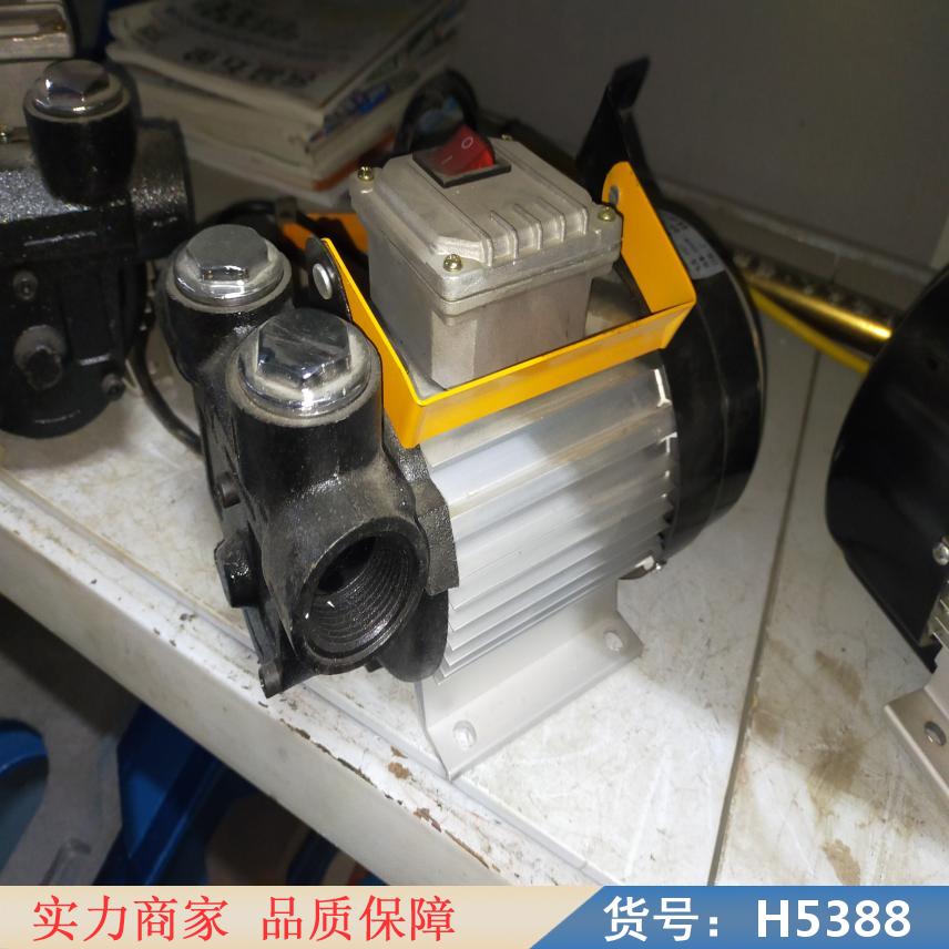 慧采电动抽油泵 小型手动抽油泵 自动泵货号H5388