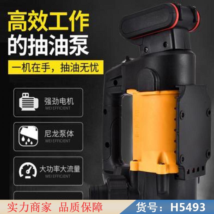 慧采24V简易充电式抽油泵 18V充电式电动抽油泵 12V充电式货号H5493