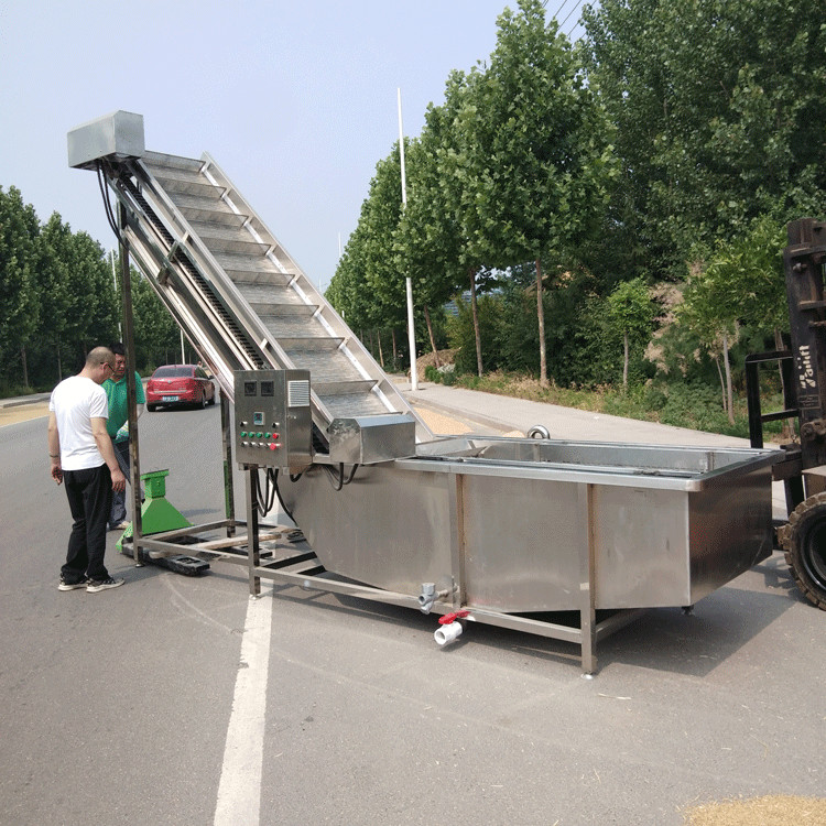 厂家直供气泡清洗机 大枣清洗机 苹果洗果机 全自动气泡清洗线