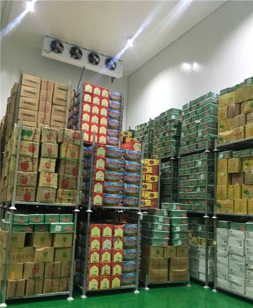 张掖定做冷库费用   新冷源冷库  气调保鲜冷库  厂家现货配送