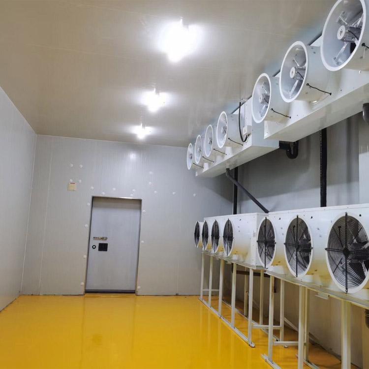 甘肃超低温冷库安装   蔬果冷藏库设计 新冷源专业制冷工程