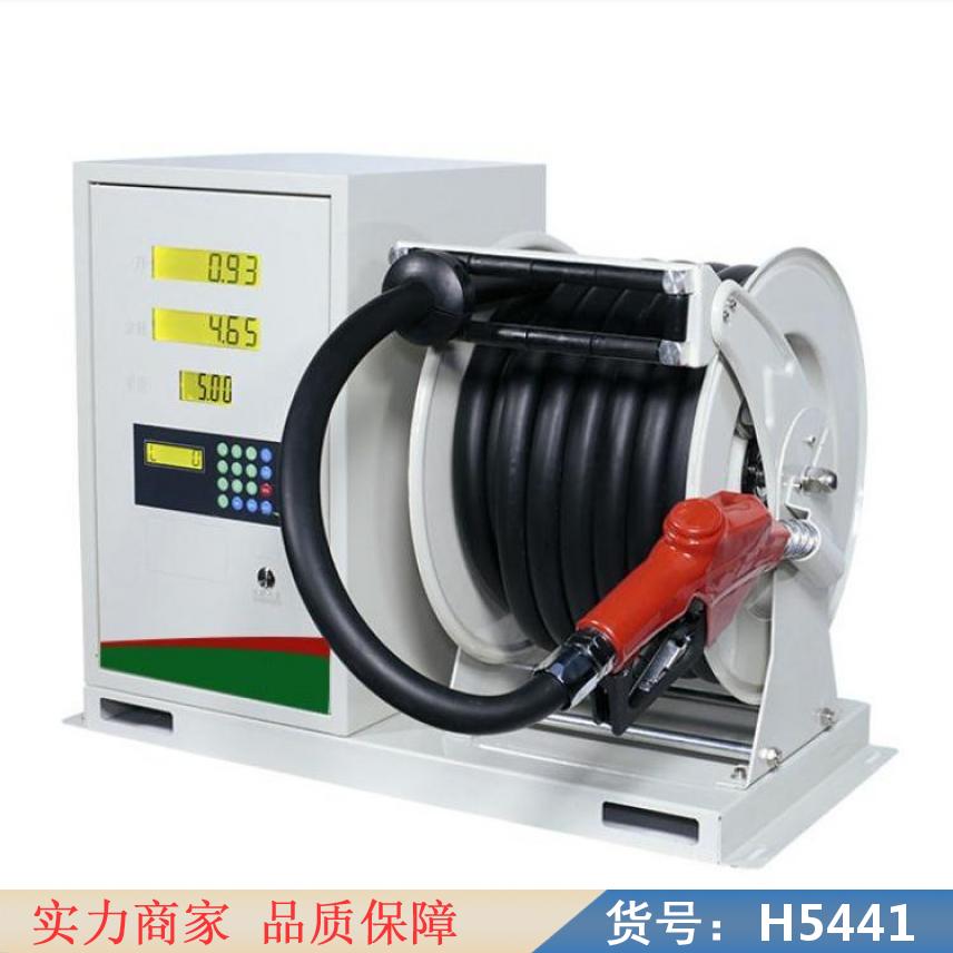 中德燃油加油机 小型自动加油机 220v小型加油机货号H5441