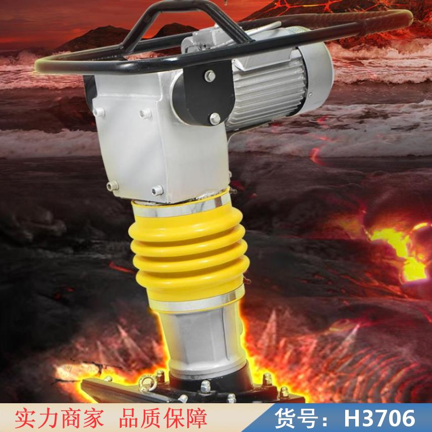 中德蛙式打夯机的电动机 立式电动打夯机 100型电动打夯机货号H3706