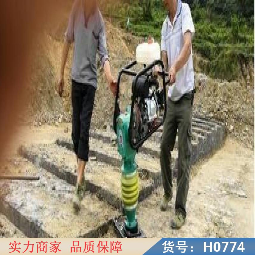 中德机械打夯机 汽油机打夯机 汽油冲击夯货号H0774
