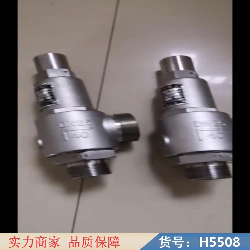 中德煤气安全阀 弹簧微启式安全阀 天然气安全阀货号H5508