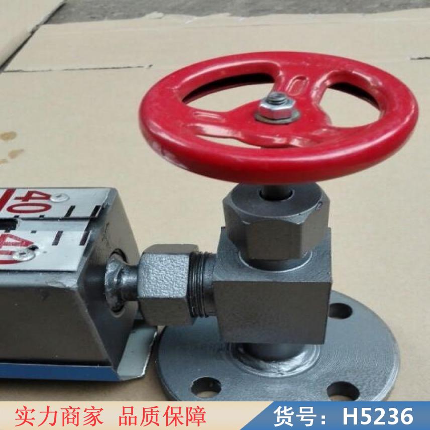 中德投入式静压液位计 玻璃板液位计 浮漂液位计货号H5236