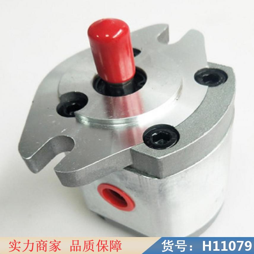 中德齿轮泵 布赫内啮合齿轮泵 船用齿轮泵货号H11079