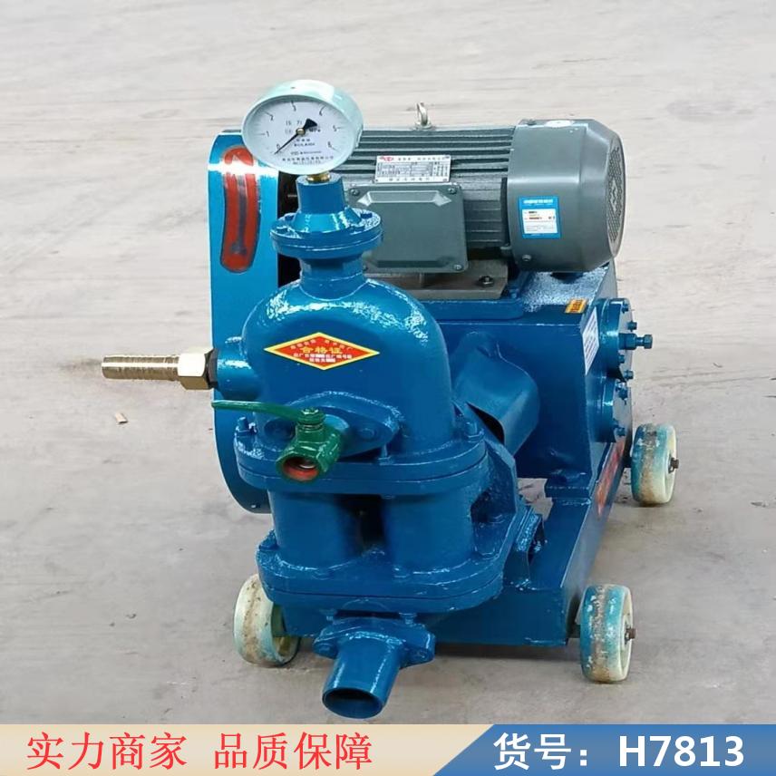 中德注浆机 小型水泥注浆机 双缸注浆机货号H7813