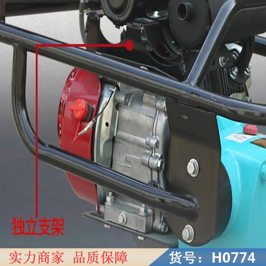 中德工地打夯机 汽油立式打夯机 双向汽油打夯机货号H0774