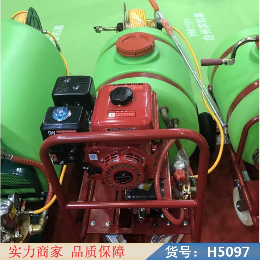 中德手动背负式喷雾器 气雾喷雾器 踏板喷雾器货号H5097