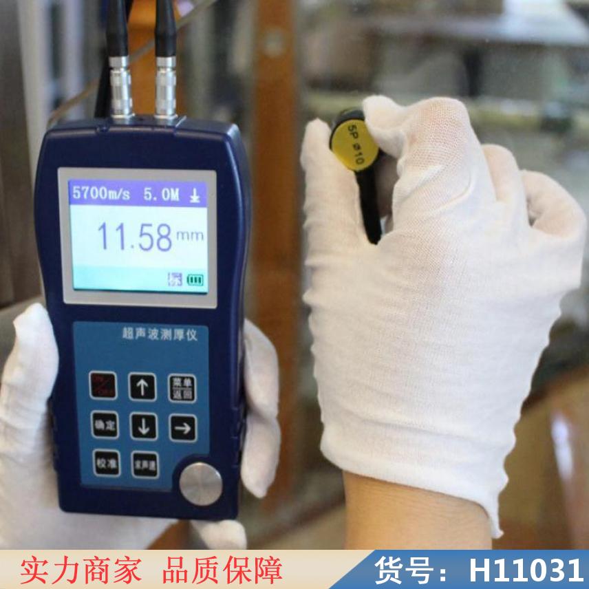 智众电镀层测厚仪 手持测厚仪 测量仪器货号H11031